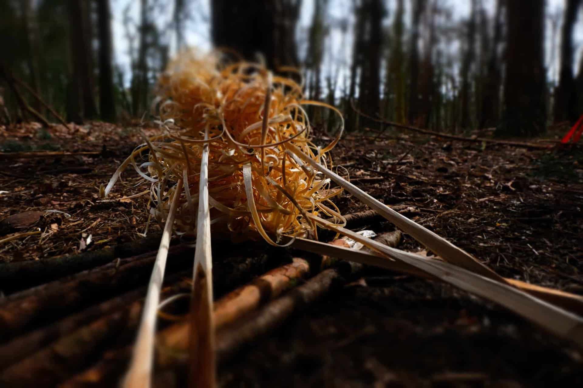 No Trace Blog Featherstick (foto: LBN)
