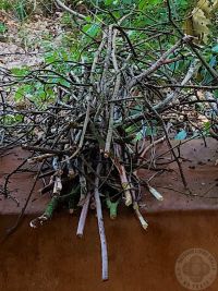 No Trace Bushcraft stap 3 van 7 stappen