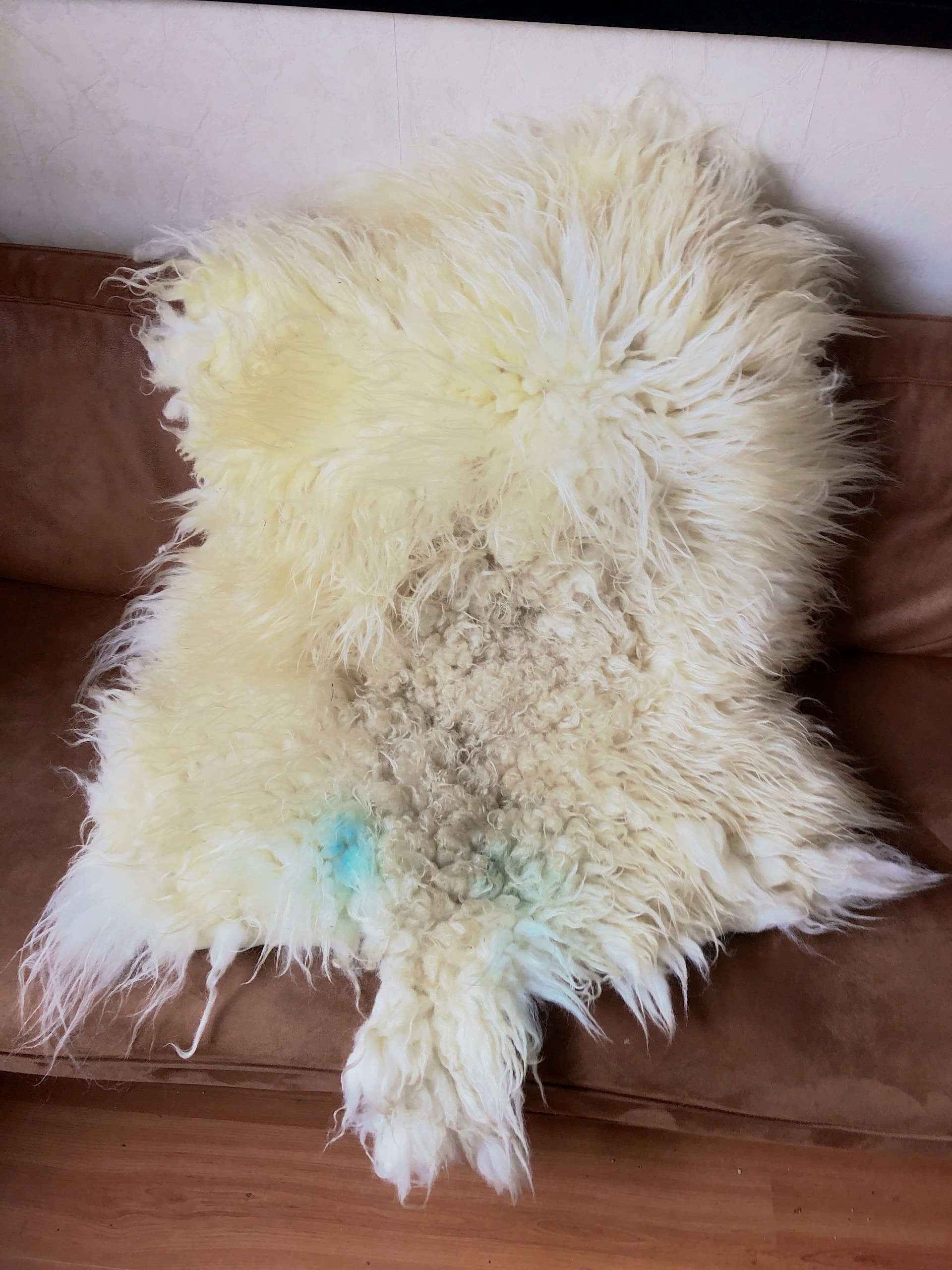 Veluws heide vacht met staartje