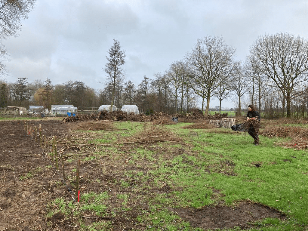 Het indelen en gereedmaken van de tuin